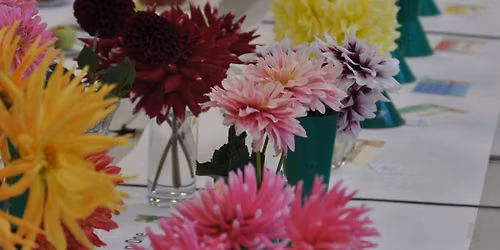 allotment and craft show