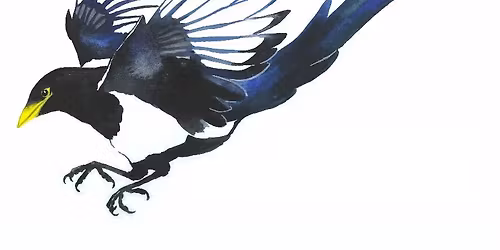 Stockton Christmas Bird Count