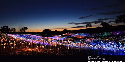 Halloween Night at Sensorio