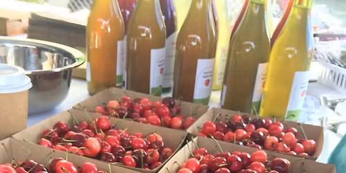 Southern Harvest Xmas Market