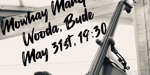 The Big Dog Boogie Band Live at The Mowhay Marquee, Wooda.