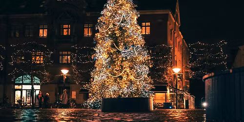 Iluminacja choinki, koncert i wsp\u00f3lne kol\u0119dowanie w Zau\u0142ku \u017babczy\u0144skich