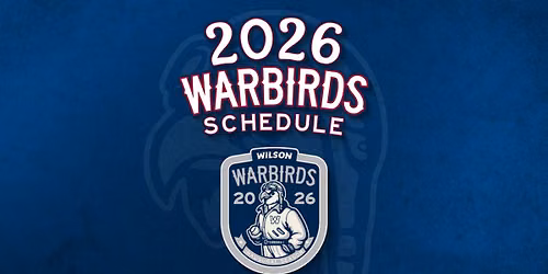 Wilson Warbirds vs. Charleston RiverDogs