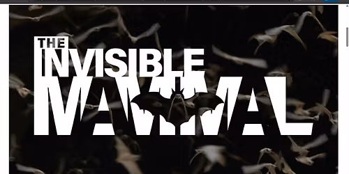The Invisible Mammal Screening
