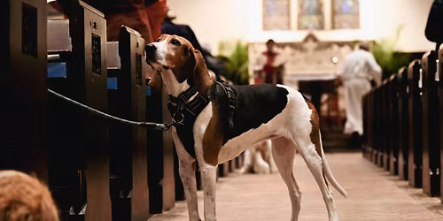 Pet Friendly Service