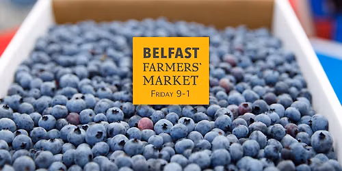 Blueberry Season Is Here \u2014 A Maine Midsummer Treat