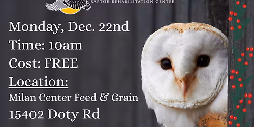 Owl Be Home for Christmas