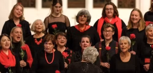 Sounds of Christmas: Cambridge Harmony Chorus