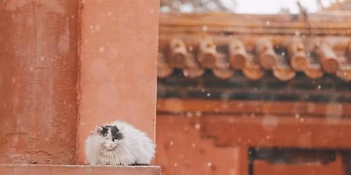 \u6e05\u53f2\u8bfb\u4e66\u4f1a\u7b2c69\u573a\u5bfc\u8bfb\u4f1a