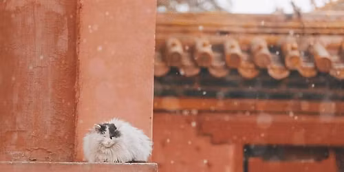 \u6e05\u53f2\u8bfb\u4e66\u4f1a\u7b2c69\u573a\u5bfc\u8bfb\u4f1a