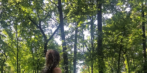 Forest Bathing with Pam Lowe Cho