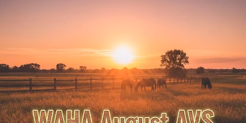 WAHA August Show 2026