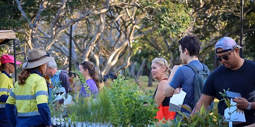 Native Plant Giveaway
