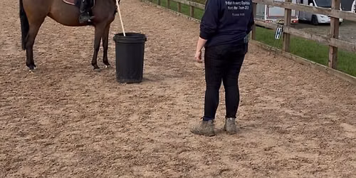 Working equitation clinic 