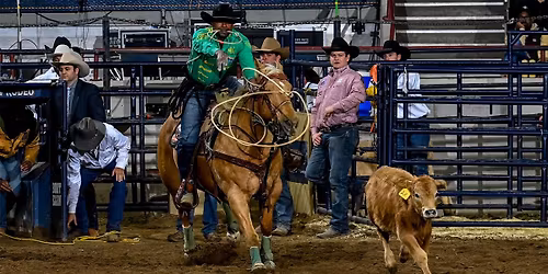 Pro Rodeo 4-H Day