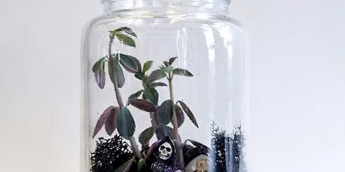 Spooky Terrarium Class