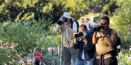 Seeing with a Camera: Photo Workshop in the Park