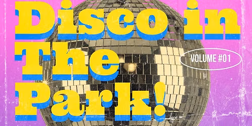 Disco In The Park!
