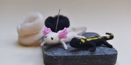 Kurz plstenia: Mloky - axolotl a salamandra