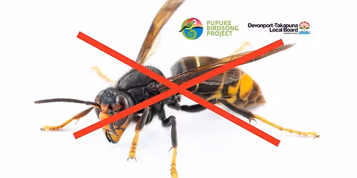 DIY Hornet Trap Workshop