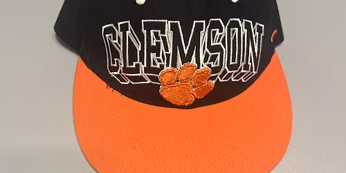 Clemson Tigers at UNC Charlotte 49ers Baseball at Truist Field Charlotte