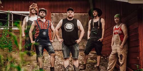 Steve 'n' Seagulls