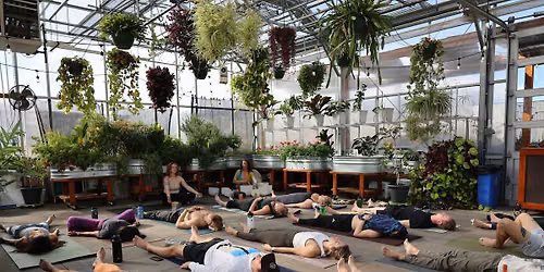Grow+Gather Greenhouse Yoga  Sound+Flow