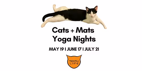 Cats N' Mats Yoga Night - May 2026