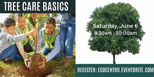 Tree Care Basics