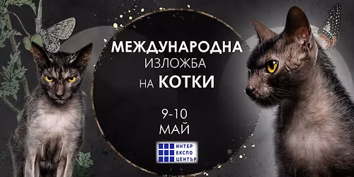 \u041c\u0435\u0436\u0434\u0443\u043d\u0430\u0440\u043e\u0434\u043d\u0430 \u0438\u0437\u043b\u043e\u0436\u0431\u0430 \u043d\u0430 \u043a\u043e\u0442\u043a\u0438 2026