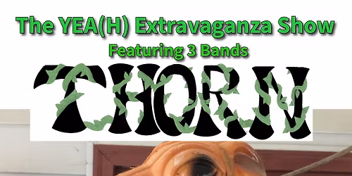 The YEA(H) Extravaganza Show with Thorn, Pandemonium, and YEA(H), Fri Nov 14th at Locked and Loaded