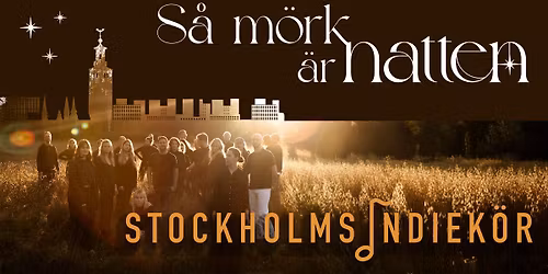 S\u00e5 m\u00f6rk \u00e4r natten med Stockholms indiek\u00f6r