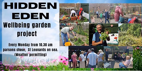 Hidden Eden Wellbeing garden