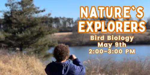 Nature's Explorers: Bird Biology