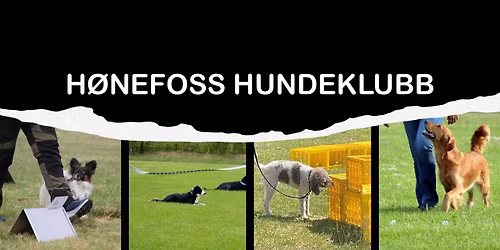 LP stevne 14. Mai 2026 - H\u00f8nefoss