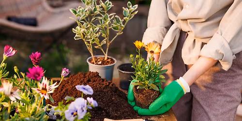 Plants for your garden May Day Launch