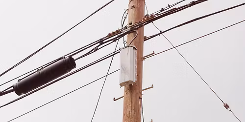 Rushadicus (The Cello Goblin)