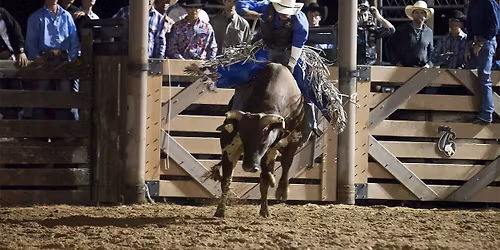 Deadwood PBR