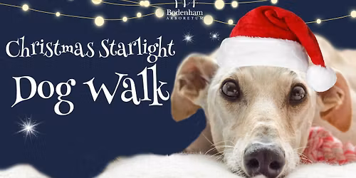 Charity Christmas Starlight Dog Walk