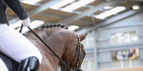 HAPPA's Unaffiliated Dressage 