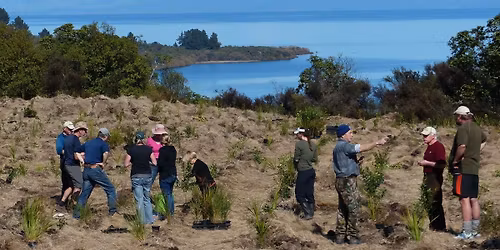 Communities Planting a Better Future