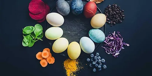 Wear Your Roots NATURAL DYE & ART WORKSHOP