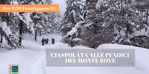 Ciaspolata alle Pendici del Monte Bove alla ricerca del Camoscio