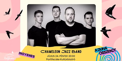 Chameleon Jazz Band \/\/ Partifecske
