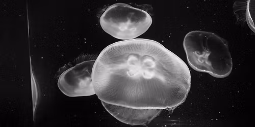 30 SECONDS OF WEIGHTLESSNESS by Adriana Estivill