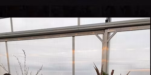 Evergreen Porch Pot!!