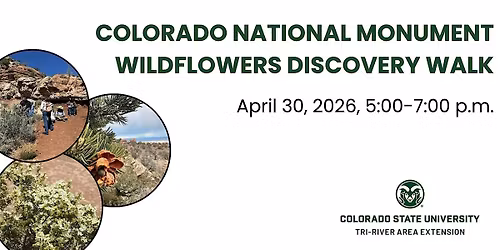 Colorado National Monument Wildflowers Discovery Walk