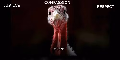 Christmas Feasts of Violence!