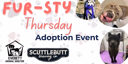 Fur-sty Thursday Adoption Event