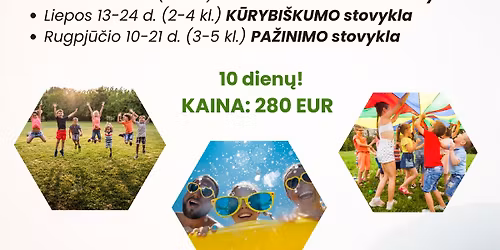 Dienvid\u017eio vasaros dienos stovyklos